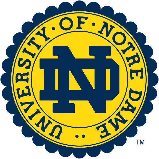 Notre Dame Fighting Irish 0-Pres Alternate Logo iron on transfers for clothing